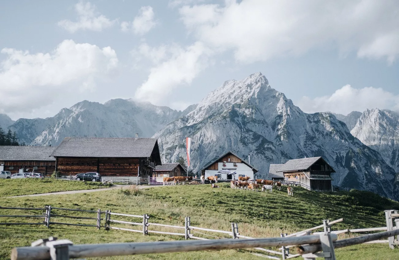 Über die Ganalm zur Walderalm