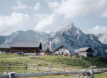 Alpages Ganalm - Walderalm - Circuit de randonnée