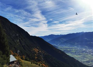 Auf einen kleinen Aussichtsgipfel neben der Thaurer Alm: Thaurer Rosskopf