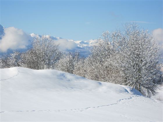 Mils - Baumkirchen - Fritzens