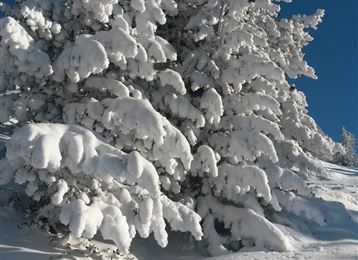 Besinnungsweg im Winter