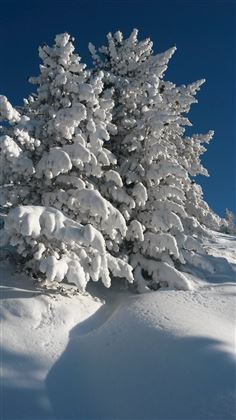 Besinnungsweg im Winter