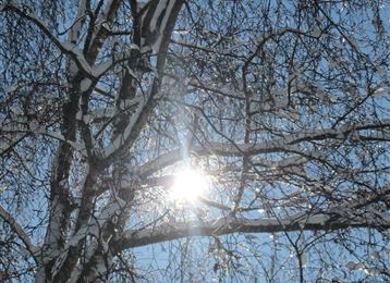 Maria Larch Runde im Winter