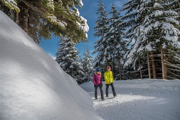 Teufelsmühle - Winterwanderung