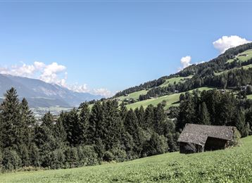 Wurzelschellweg