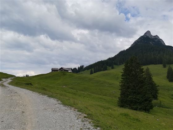 Arrivée à destination : Walderalm